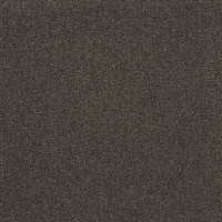 Ковровая плитка Balsan Dolce Vita Balsan Dolce Vita 770 фото 1 | FLOORDEALER